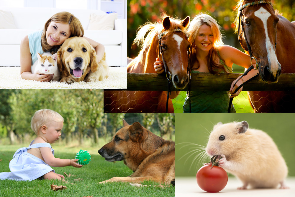 proteggi_con_una_assicurazione_il_tuo_canecane_e_gli_altri_animali_domestici